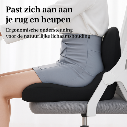 Painivo ErgoSeat