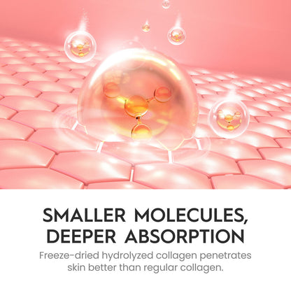 Collagen Jelly